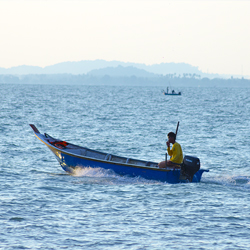 image 50