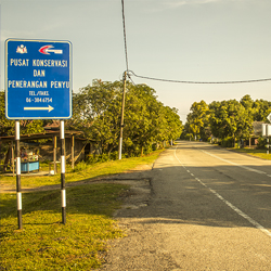 image 67